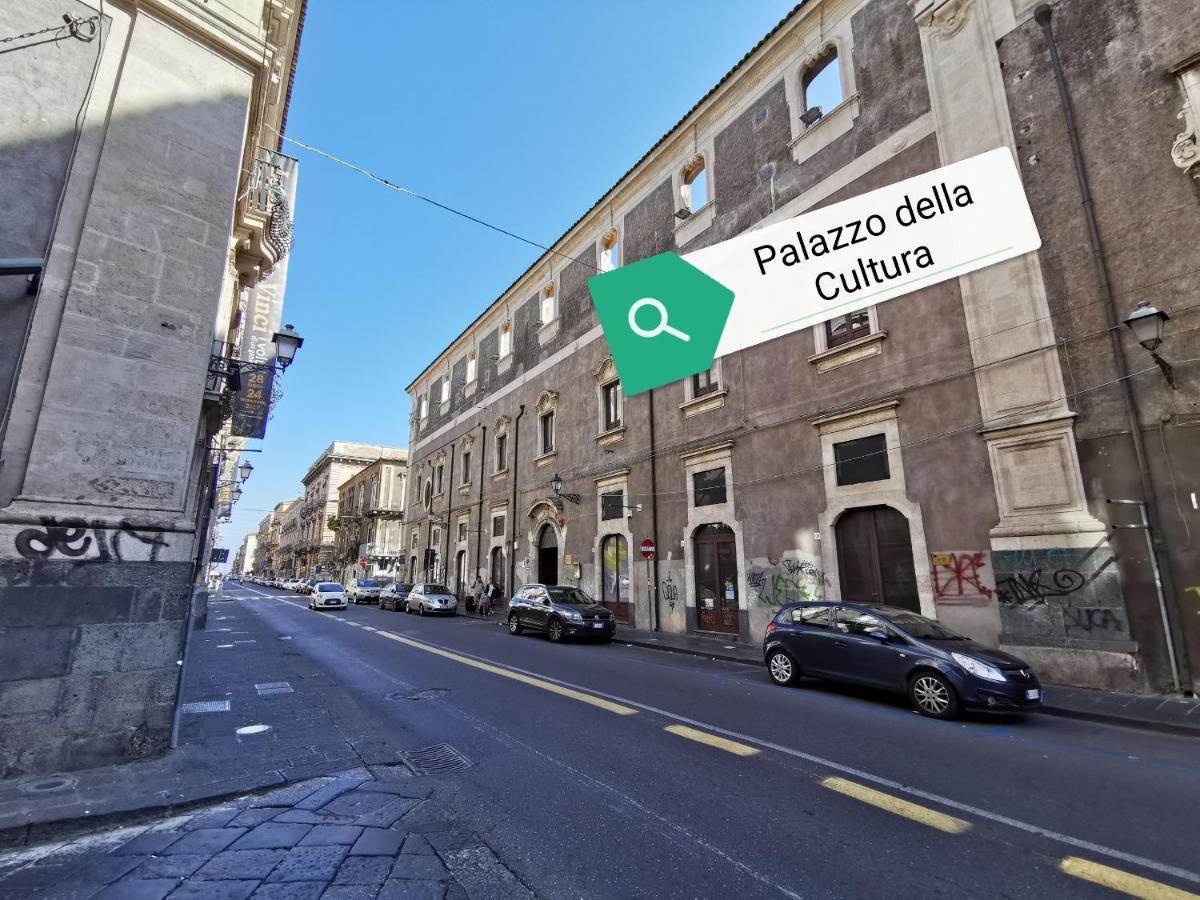 Apartment Two Bellini *